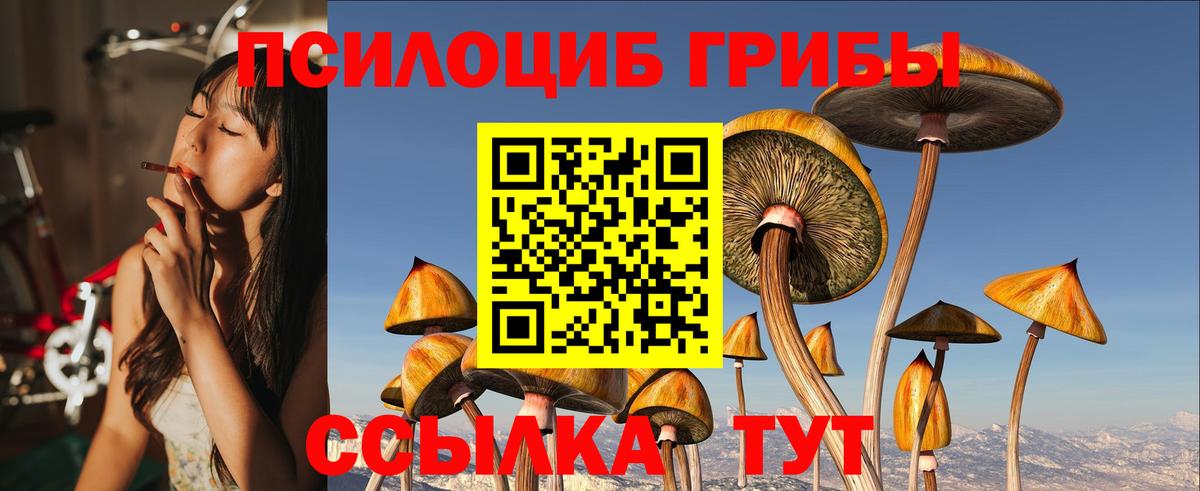 Псилоцибиновые грибы GOLDEN TEACHER Зерноград