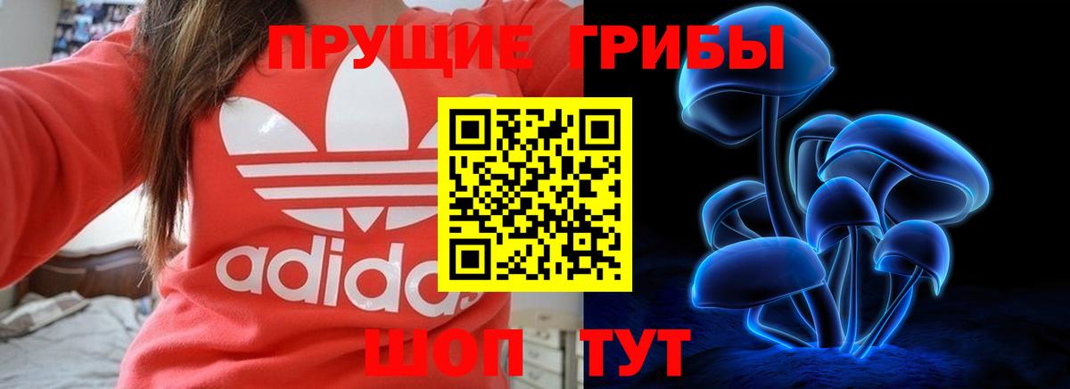 купить  цена  Вход с VPN  Галлюциногенные грибы мицелий  Зерноград  Галлюциногенные грибы мицелий 